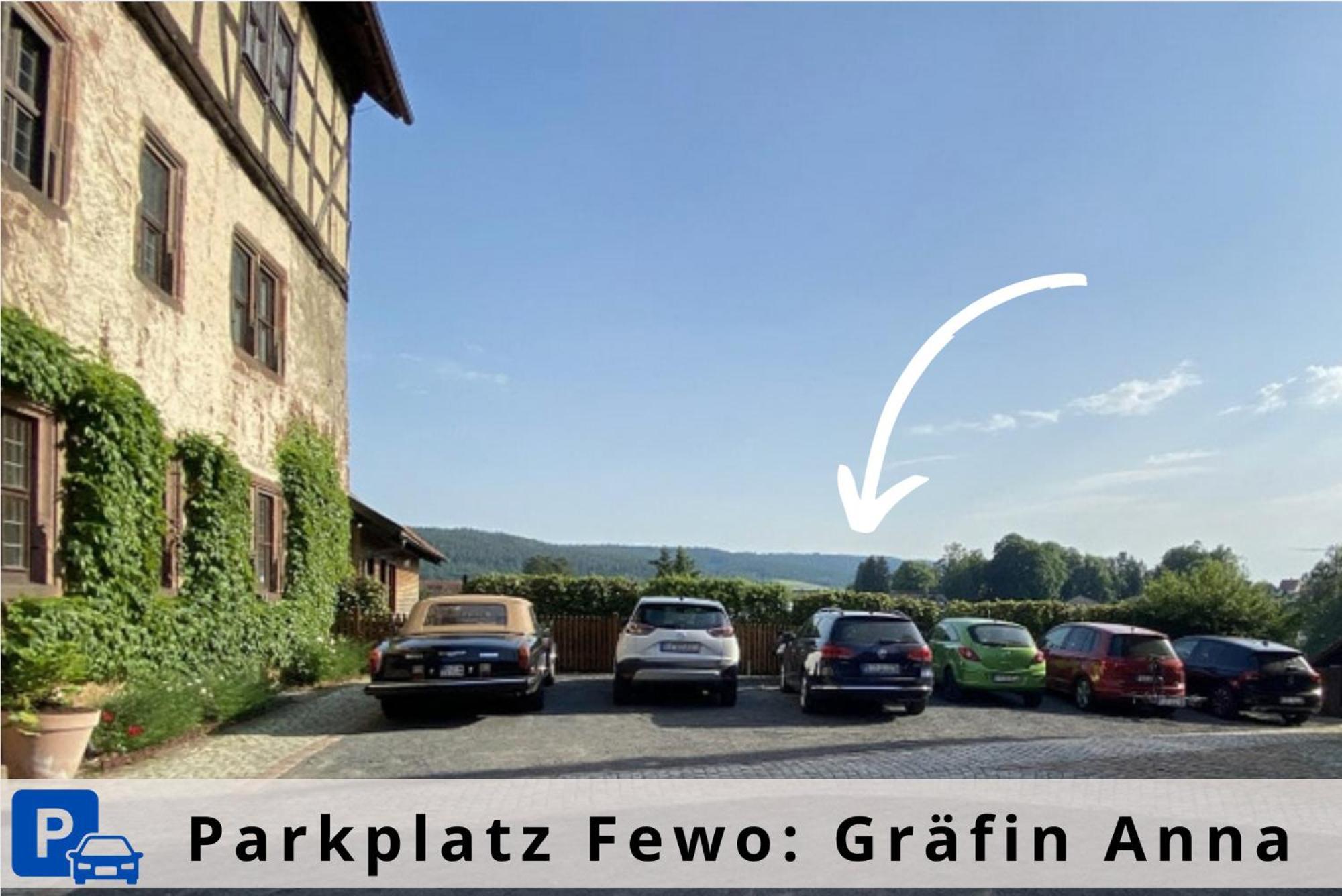 Graefin Anna - Design-Apartment In Der Historischen Hinterburg Schlitz - Nahe Fulda Und Bad Hersfeld エクステリア 写真
